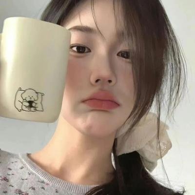 北极大冒险